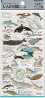 Dolphins & Whale Stickers by Kamio *NEW!